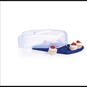 New!!! Tupperware caketaker